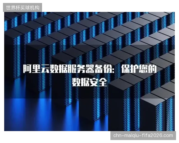 演进阶段机构完善备份机制 防范资产数据丢失